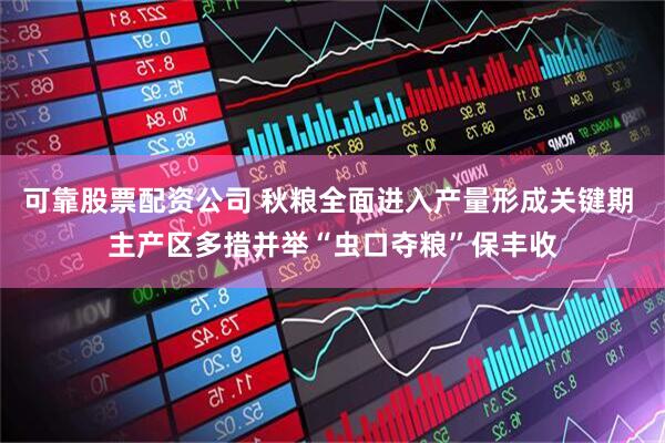 可靠股票配资公司 秋粮全面进入产量形成关键期 主产区多措并举“虫口夺粮”保丰收